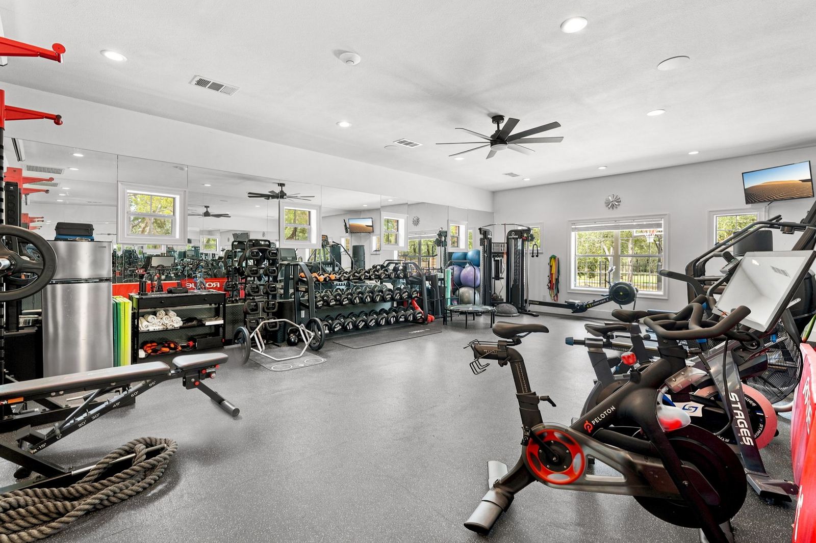 Large home gym with bikes, weights and cardio machines