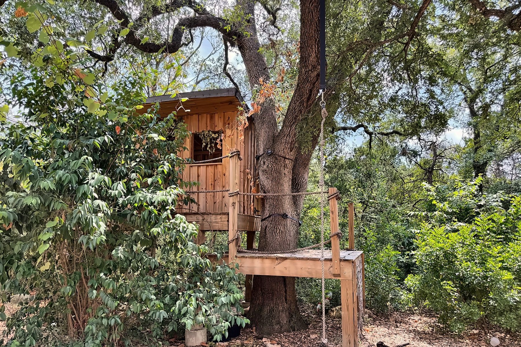Cedar tree house with rope railings built around a live oak